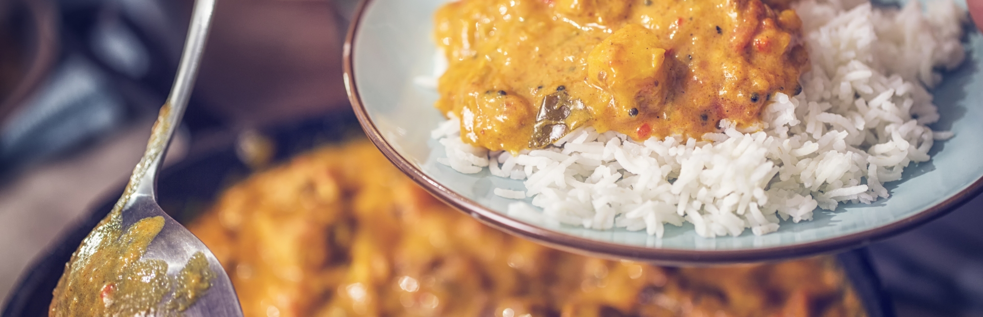 easy chicken curry recipe 