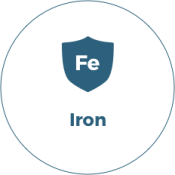 Iron Icon