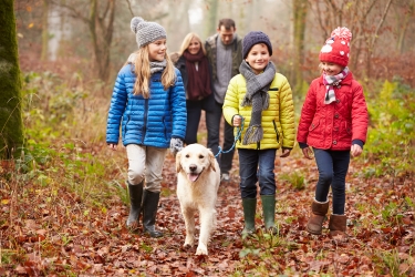 Family walking through woods with a dog