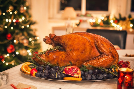 an image of a turkey for christmas